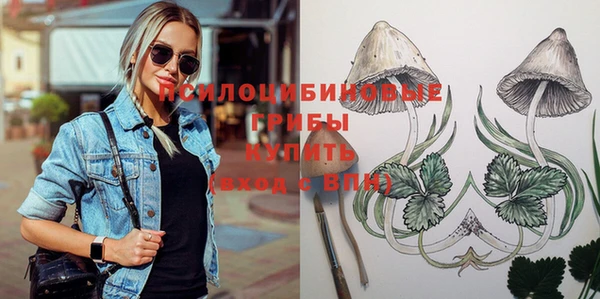 mix Новодвинск