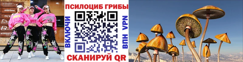 Купить где  Тутаев  Галлюциногенные грибы Psilocybe 